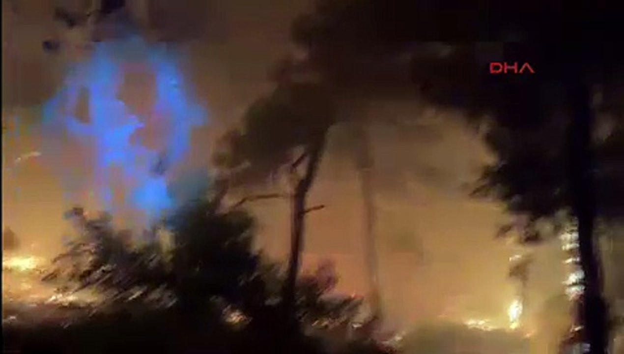 İzmir'de peş peşe orman yangınları