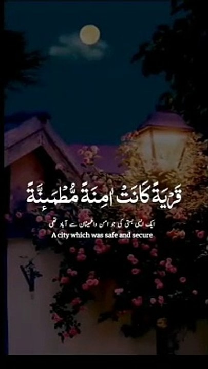 *❤️ تلاوت قرآن کریم ❤️* *ﺍَﻟﻠّٰــــﻬُﻢَّ ﺍﻏْـــــﻔِﺮﻟَﻨﺎ ﺫُﻧُﻮﺑَﻨﺎ ﺑِﺎﻟْﻘُـــﺮﺁﻥ*