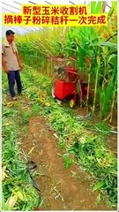 فيديوهات مضحكة fidyuhat mudhikaعربي#dailymotion#shorts#france