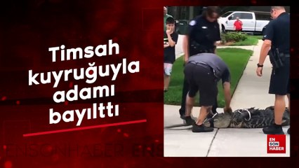 Timsah kuyruğuyla adamı bayılttı
