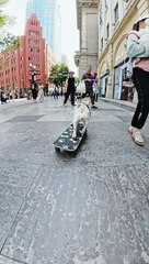 Dog so funny video amazing video running beautiful.