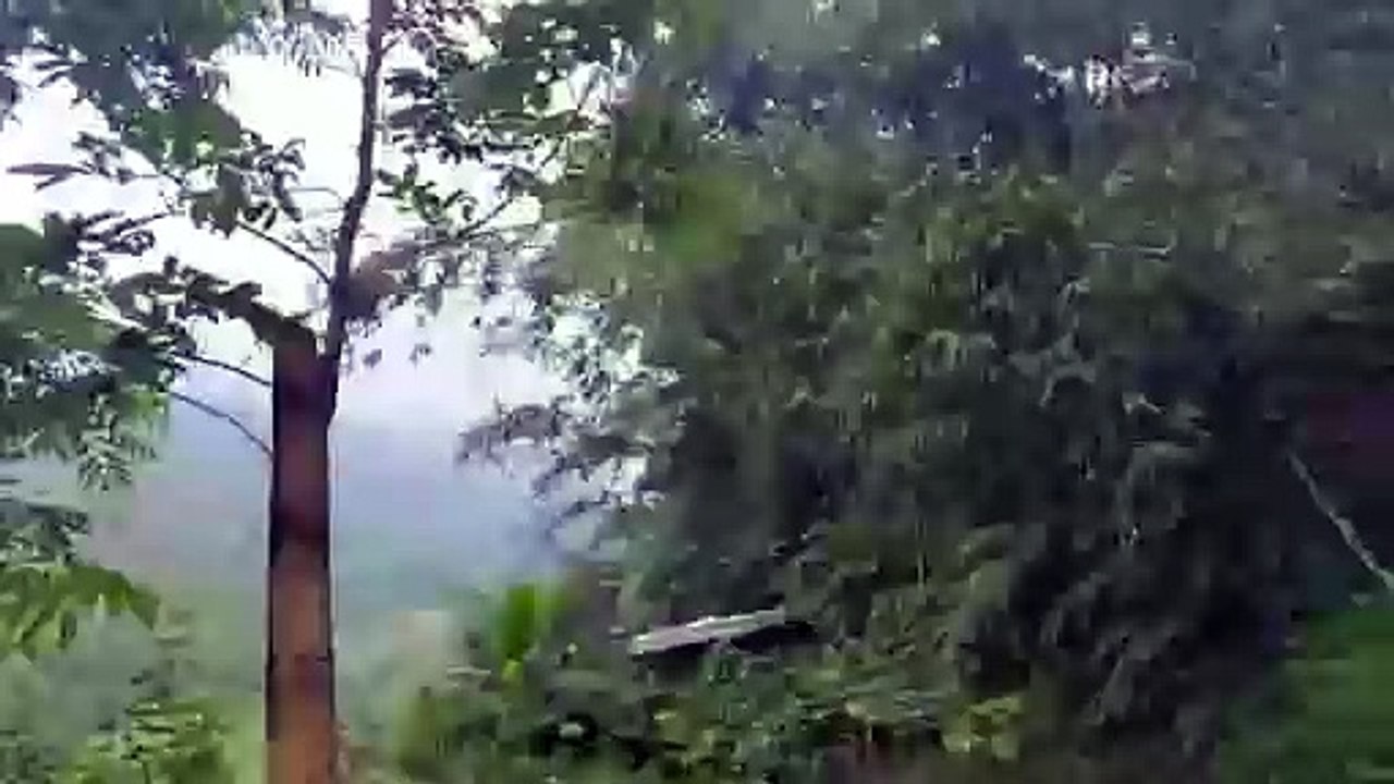 view pemandangan