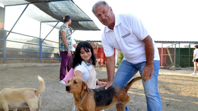 Sokak hayvanlarına beş yıldızlı yuva