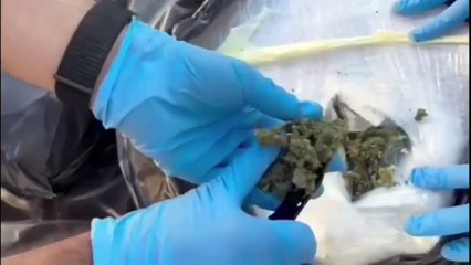 DENİZLİ DAHİL 59 İLDE NARKOÇELİK OPERASYONU