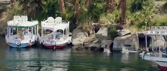 مسلسل سك على اخواتك الحلقة 5 كامله