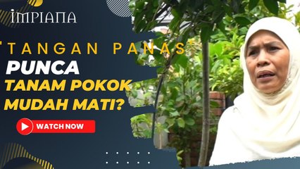 'Tangan Panas' Punca Tanam Pokok Mudah Mati?