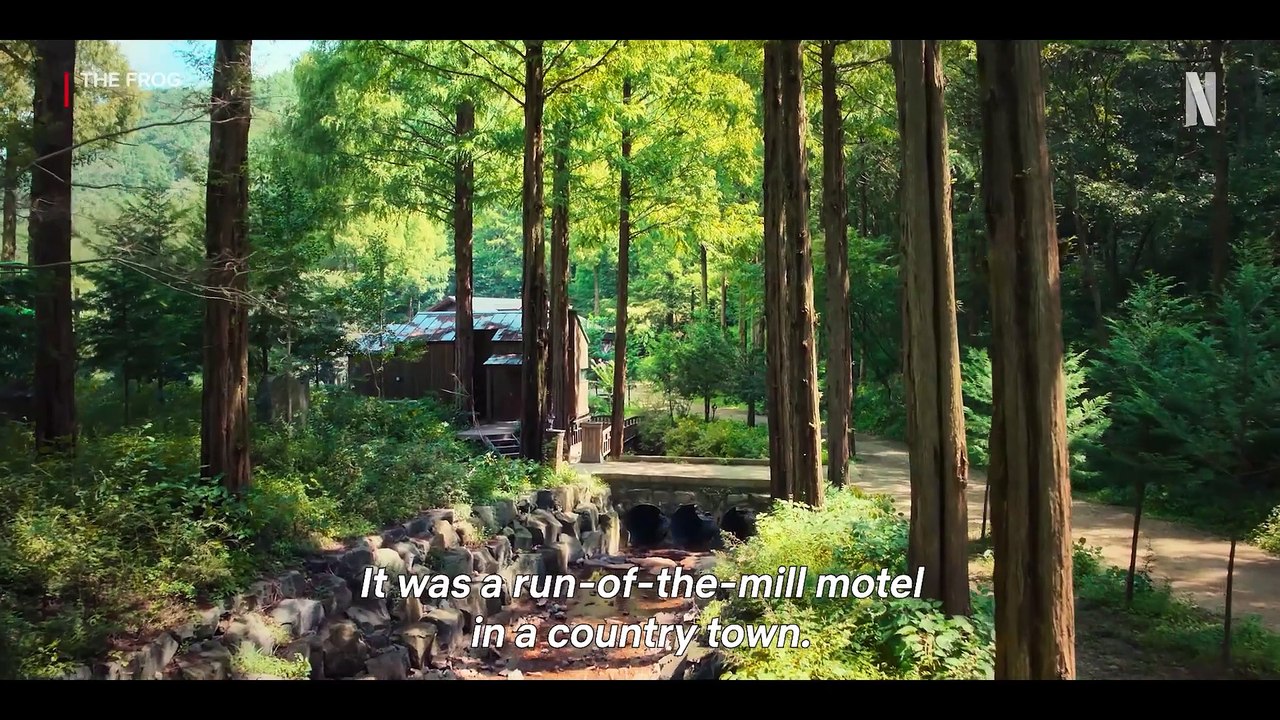 The Frog - Official Trailer Netflix