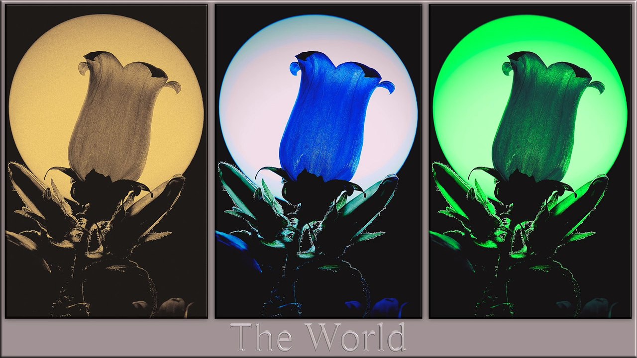 The World: Past, Present & Future