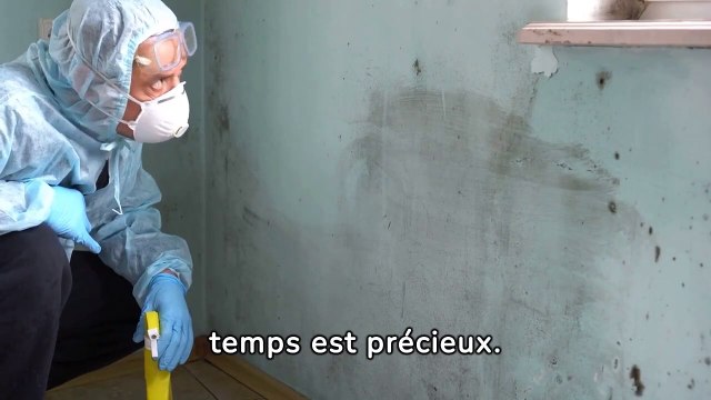 entreprise de traitement d'humidité à Puttelange-aux-Lacs - Soshumidite -