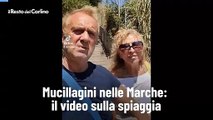Mucillagini nelle Marche: il video sulla spiaggia
