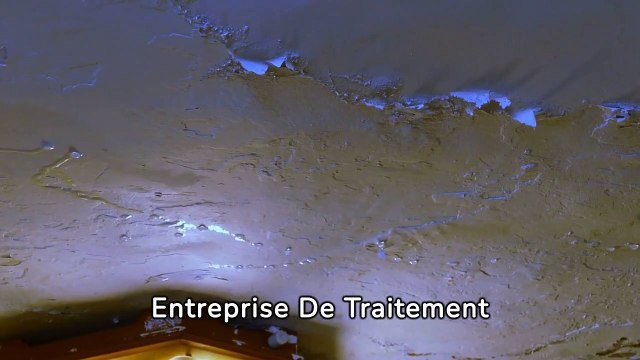 entreprise de traitement d'humidité à Longeville-lès-Saint-Avold - Soshumidite -