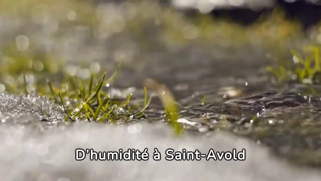 entreprise de traitement d'humidité à Saint-Avold - Soshumidite -