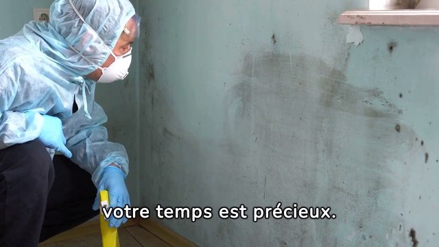 entreprise de traitement d'humidité à Baccarat - Soshumidite -