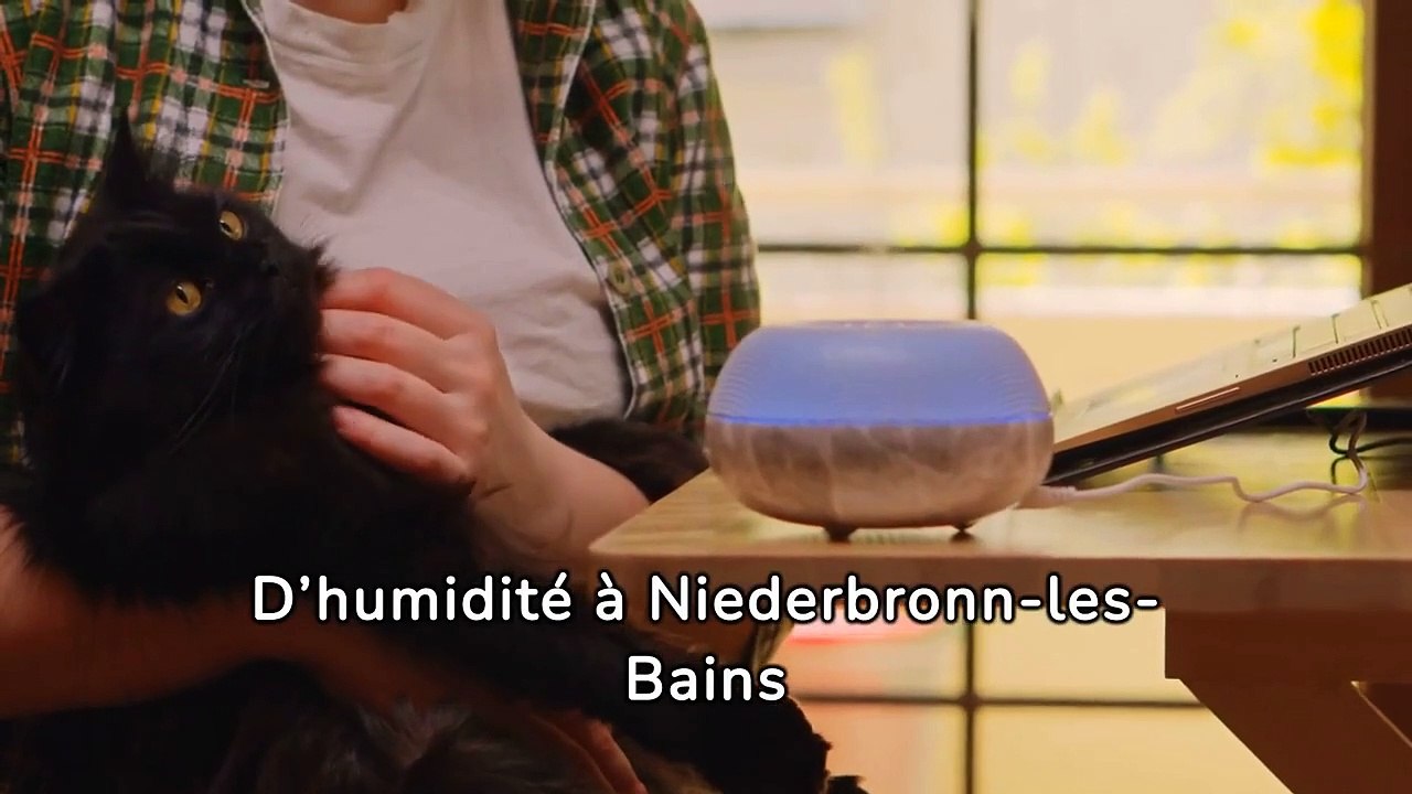 entreprise de traitement d'humidité à Niederbronn-les-Bains - Soshumidite -