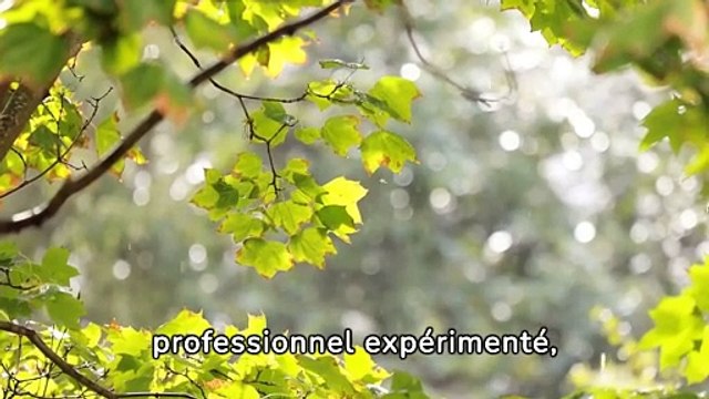 entreprise de traitement d'humidité à Baldersheim - Soshumidite -