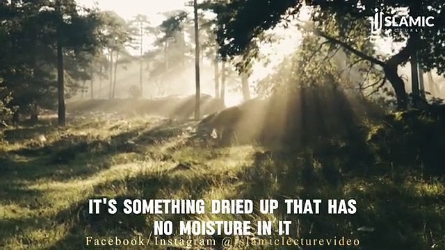 The Journey of Life_ Embracing Joy And Overcoming Struggles - Nouman Ali Khan _ Islamic Lectures)