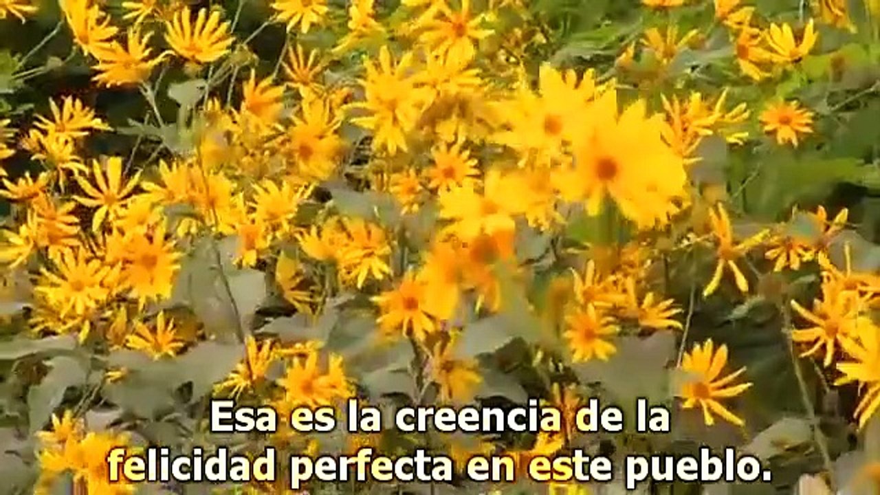 Cuando Las Cigarras lloran - Película de Terror completa en español