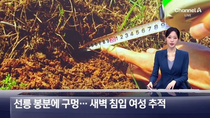 세계문화유산 선릉 봉분에 구멍…새벽 침입한 여성 추적
