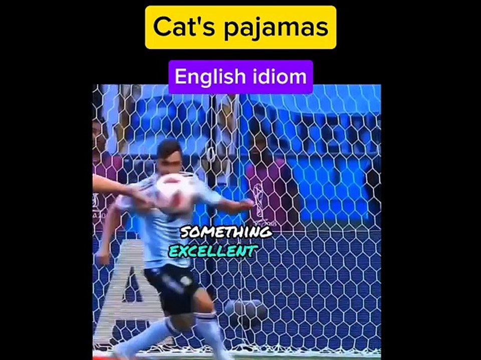 Cat's pajamas