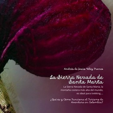 -ANDRÉS DE JESÚS VÉLEZ FRANCO- OPORTUNIDADES PARA EL FUTURO DEL TURISMO DE AVENTURA (PARTE 2) (@AndresdeJesus90)