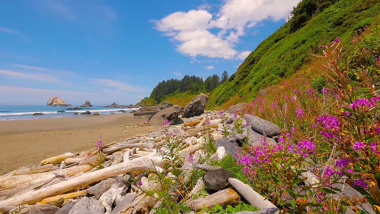 Pacific Ocean. Beautiful Landscapes