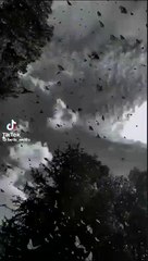 Pyara Madina sohna madina