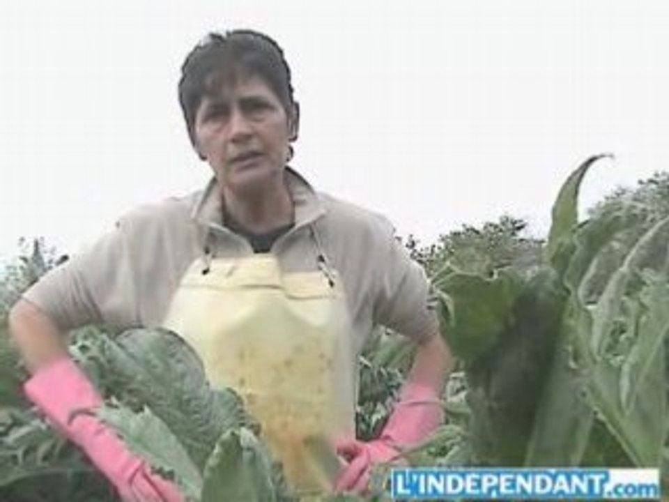 PROFESSION AGRICULTRICE