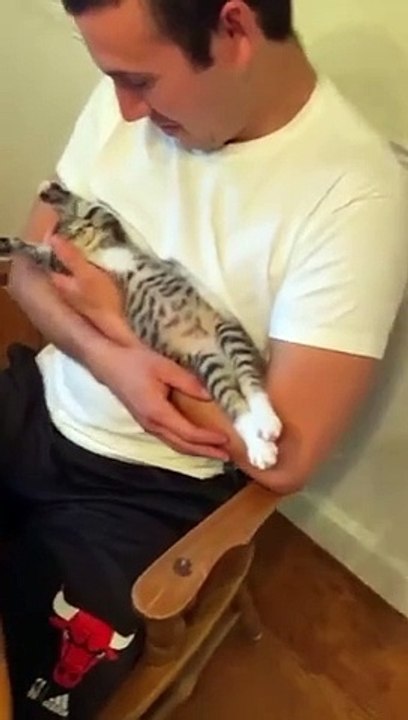 funny cats episode 108