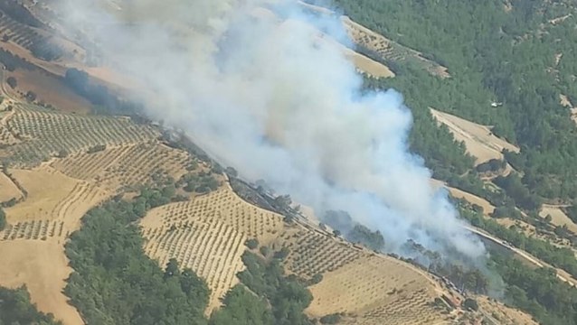 Manisa’nın Gördes ilçesinde orman yangını