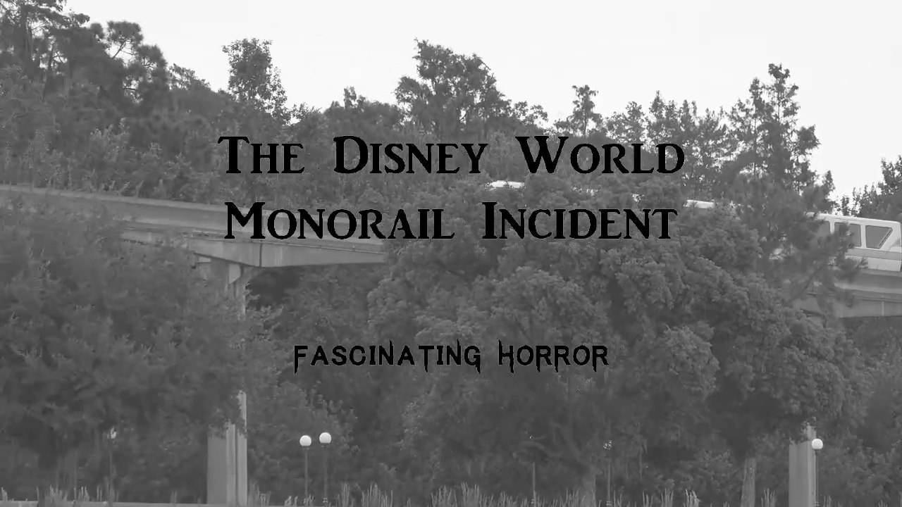 The Disney World Monorail Incident | A Short Documentary | Fascinating Horror