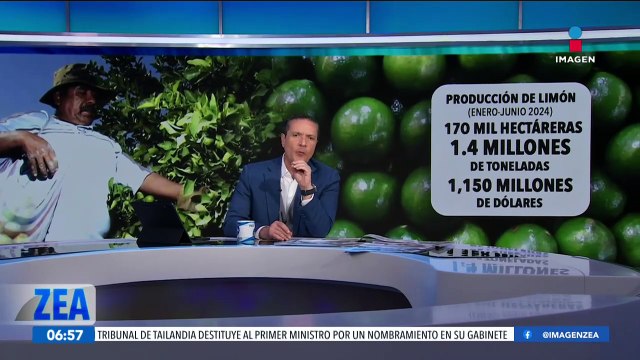 Limoneros en Michoacán paran su producción por las extorsiones