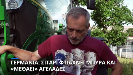 Βερολίνο: Ζυθοποιία ανακυκλώνει το σιτάρι, βοηθάει τους αγρότες και «μεθάει» τις αγελάδες