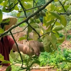 Karley - 16 year old single mother The girl_s strength to withstand the storm protects the bamboo house(HD)