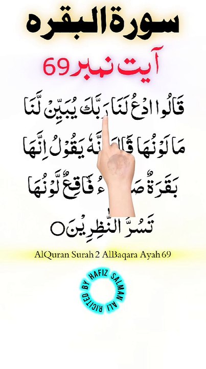 Al-Quran - Surah 2 - Al-Baqara - Ayah 69 | hafiz salman ali