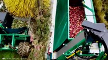 Modern Agriculture Machines in world