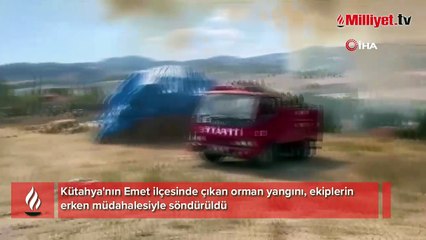 Kütahya'da orman yangını! 10 dekarlık alan zarar gördü