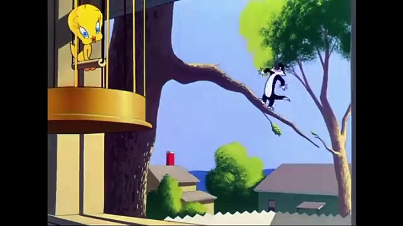 Sylvester and the tweety