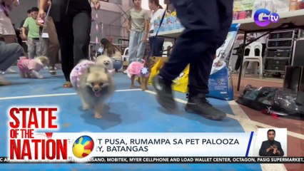 Mga aso't pusa, rumampa sa Pet Palooza ng Lemery, Batangas | SONA