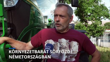 A szőlőtermesztést is befolyásolja a klímaváltozás