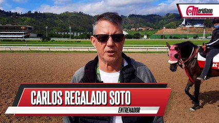 Hipismo: Carlos Regalado Soto, Entrenador.