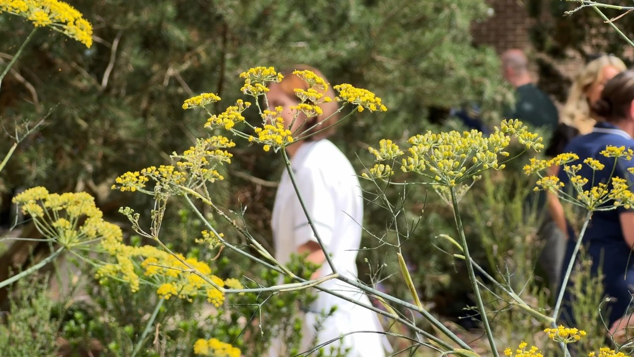 Garden for Recovery launched at Chapel Allerton Hospital