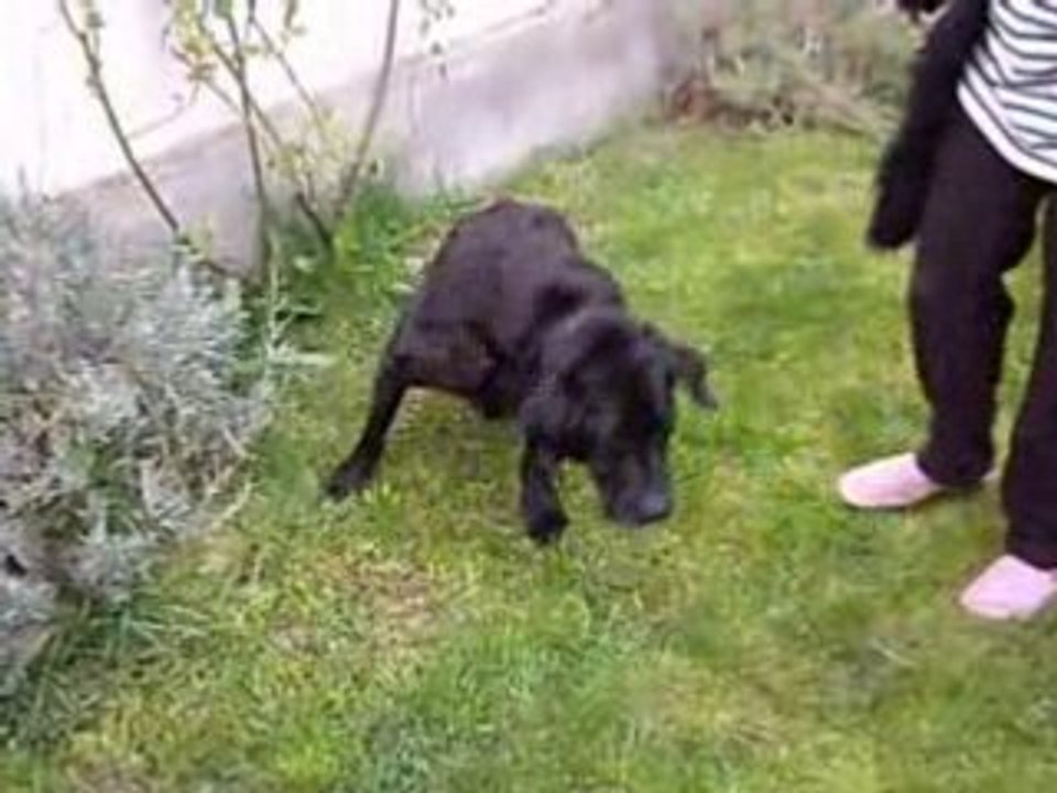 Dante lulu vidéo avril 08