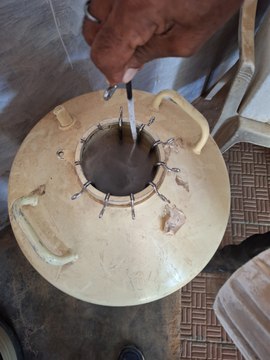 लिक्विड नाइट्रोजन नहीं होने से पशु चिकित्सालयों में कृतिम गर्भाधान पर लगा ग्रहण