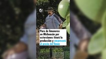 Paro de limoneros en Michoacán por extorsiones tirará la producción y encarecerá el precio del limón