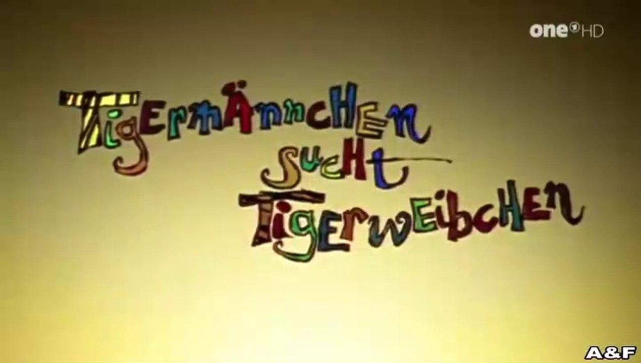Tigermännchen sucht Tigerweibchen