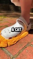 Facts That Will Make You Less Stupid... #shorts #facts #satisfying