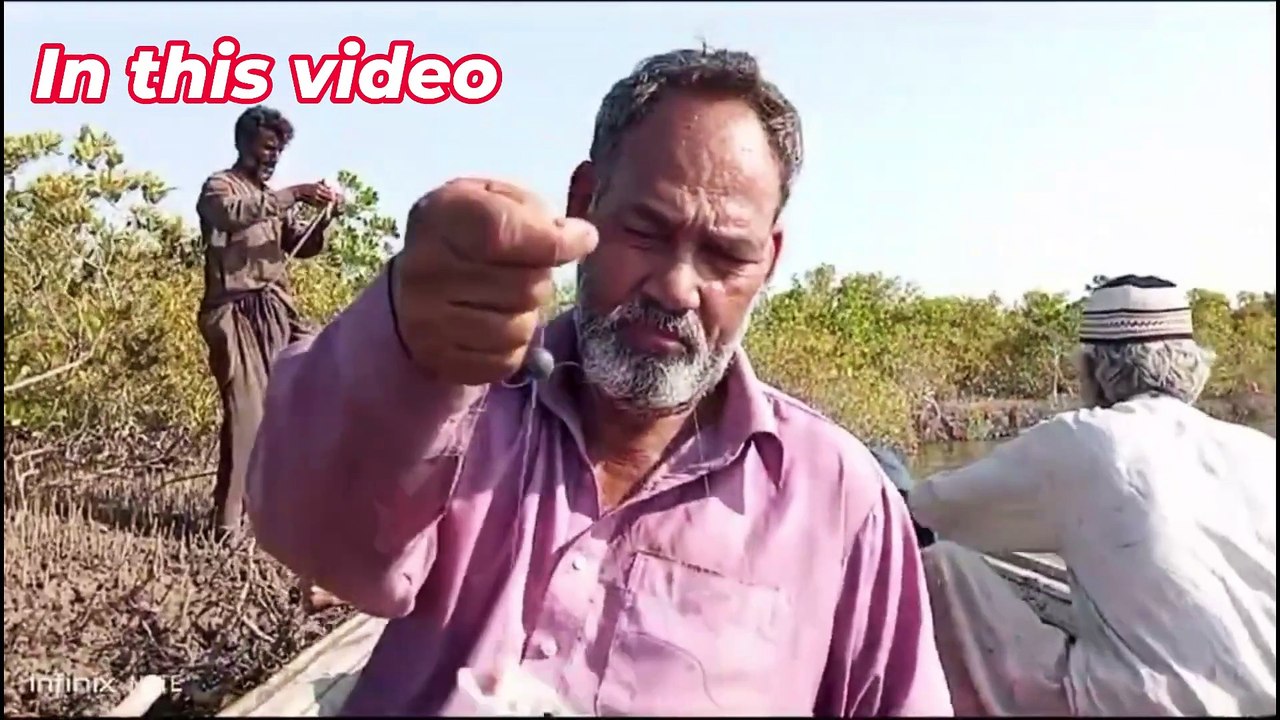 Mangroves fishing karachi 2024 hatimwali