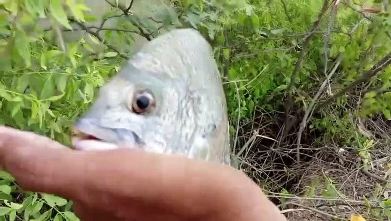 keamari fishing video | fishing in karachi