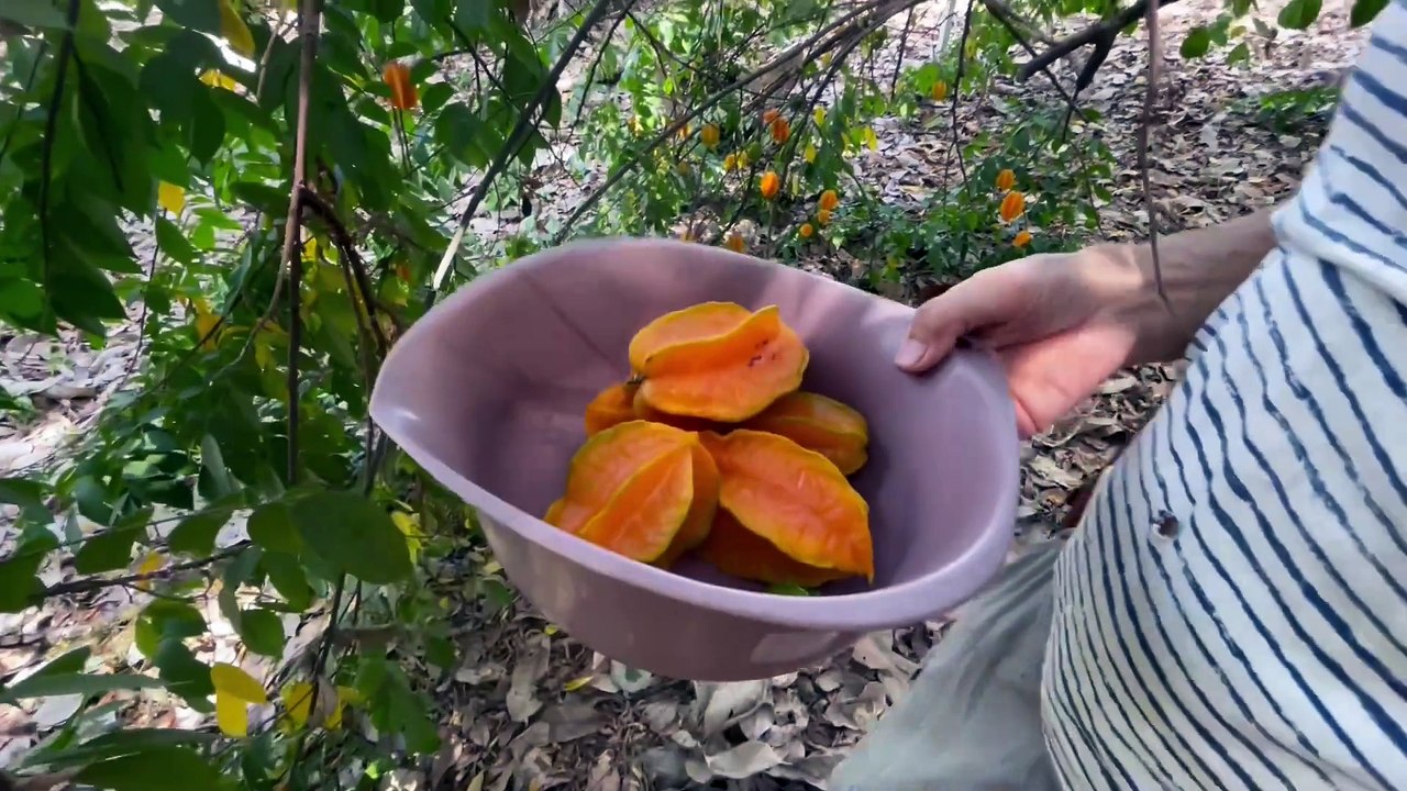 (321) Tropensaft: Rentner Klaus zeigt gesunde Ernährung | AUSWANDERN COSTARICA, DOMREP, PARAGUAY/BRA