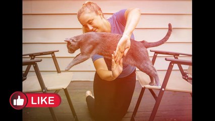 Get ready for a well Behaved pet